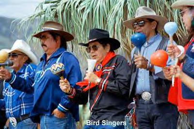 Bird Singers at the Makli Museum 