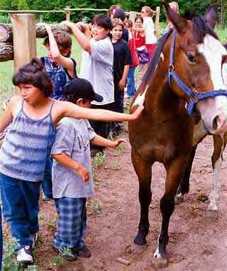 photo - Kids and Horse