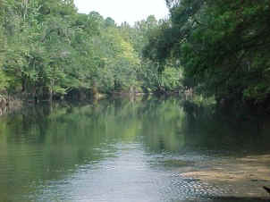 Apalachicola River 