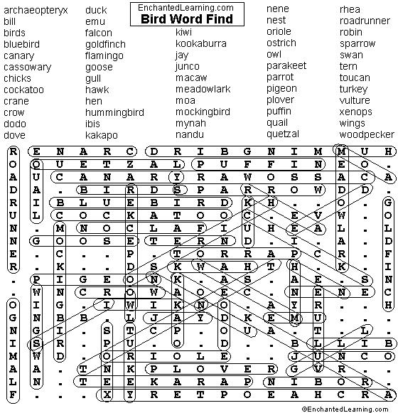 Bird Word Find Answers