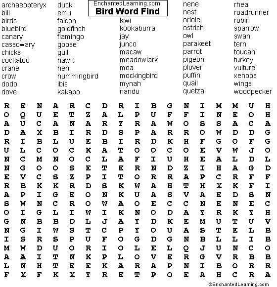 Bird Word Find