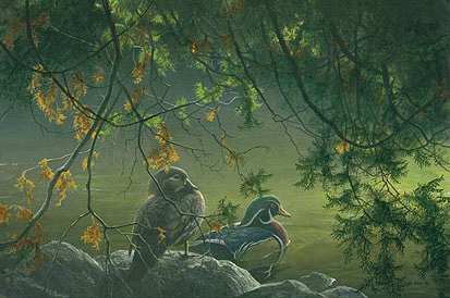 On the Pond Woodducks by Robert Bateman
