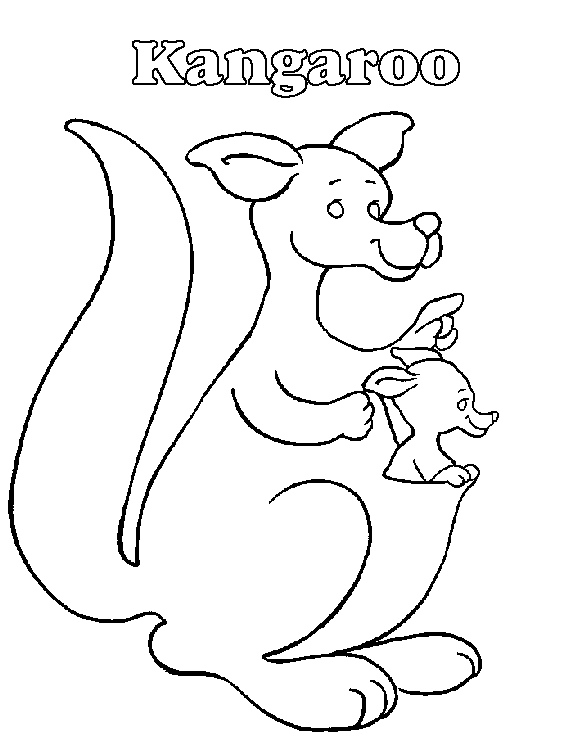 Kangaroo coloring picture