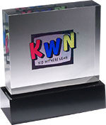 Kid Witness News New Vision Award