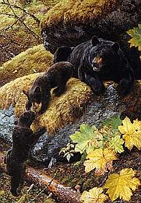 Bear art by Carl Brenders