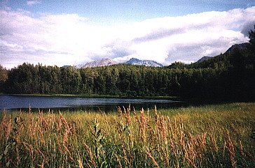 Chickaloon Lake