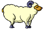 Bounding Sheep