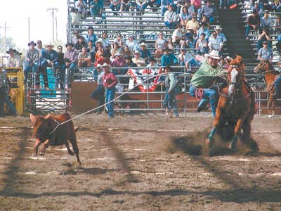 Garrison Begay, above, was the winner of the Calf Roping Competition. Photo courtesy T Slash D Rodeo Photos, Teri & Dennis Dahle. 