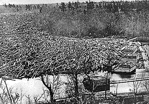 A famous logjam on the Chippewa River is fifteen miles long,with logs piled thirty feet high.