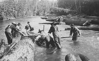 Group of men in stream with logs.