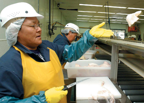 Ooleepa Akulukjuk is one of 50 Pangnirtung residents employed by Pangnirtung Fisheries Inc.