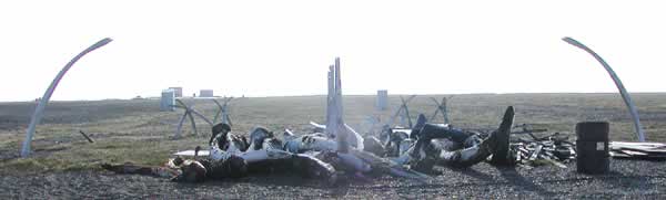 SILENT SENTINELS — The whale bones at Point Hope's west Qalqi were the center of last weeks whaling feast. Point Hope celebrated the harvest of four bowhead whales last spring.