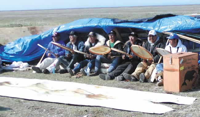 DRUMS SOUNDS ACROSS THE TUNDRA — As part of the rituals during a whaling feast, the Tikigaq traditional singers brought out their drums and accompanied the blanket toss with special songs. After three days, the Oagruk came to an end with blanket toss ceremonies and Eskimo dancing.