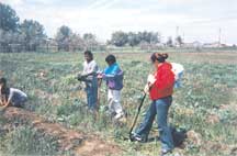 Cheyenne River youth and volunteers tending to the garden.