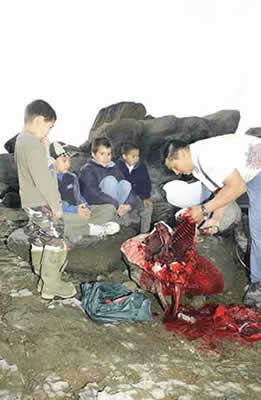 Michael Qappik gutting a seal, while a new generation of hunters watches