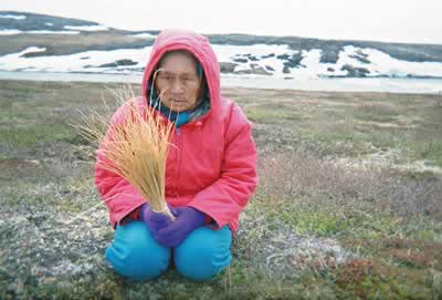 Visions Inuit 2004, photo by Leah Niviaxie, with Ivigaq - straws for baskets. (PHOTOS REPRODUCED WITH PERMISSION)