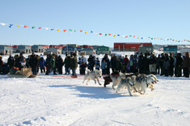 Juusipi Qisiiq leaves Umiujaq in haste, as his dogs eagerly pull his sled across the starting line.