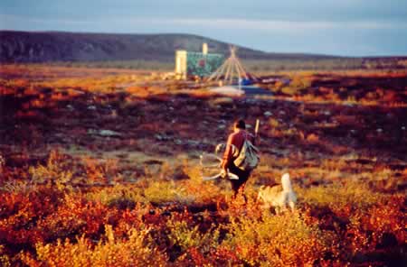 Caribou Hunt at MacKay Lake, 2003