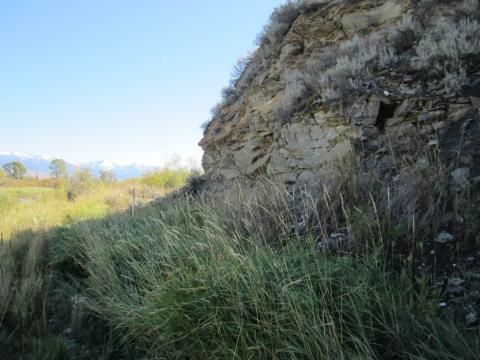 clovis burial site in montana