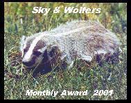 Sky & Wolfer's Web Monthly Award
