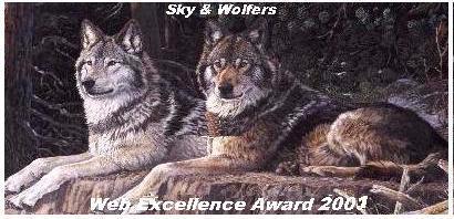 Sky & Wolfer's Web Excellence Award