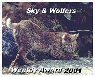 Sky & Wolfer's Web Weekly Award