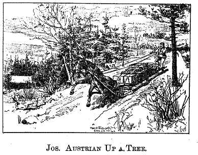 Jos. Austrian Up a Tree